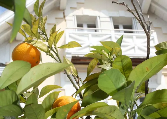 Villa Domaine Raphael - 10 Chambres, Parc Prive, Piscine